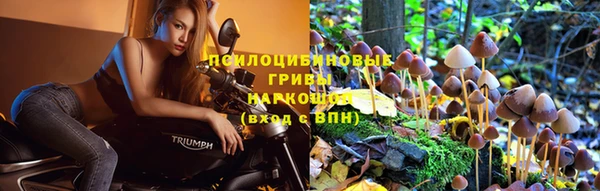 ГАЛЛЮЦИНОГЕННЫЕ ГРИБЫ Алексеевка