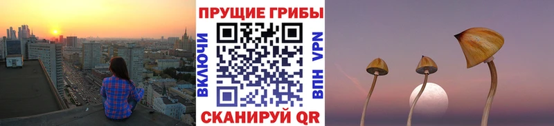 Псилоцибиновые грибы прущие грибы  Боровск 